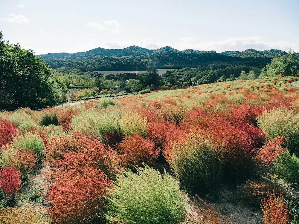Mountains in Hokkaido: Asahidake, Daisetsuzan, and Japan's First Autumn Colours photo