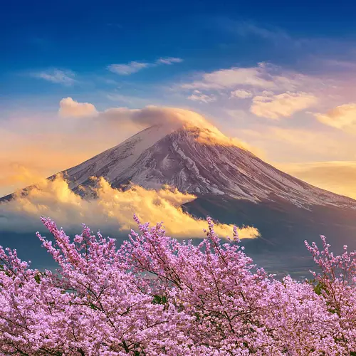 An Expert Guide to Chūbu photo
