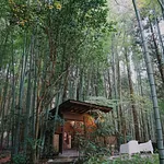 gallery_images
