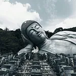 gallery_images