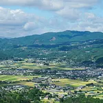 gallery_images