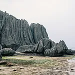 gallery_images