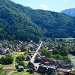 gallery_images