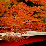 gallery_images