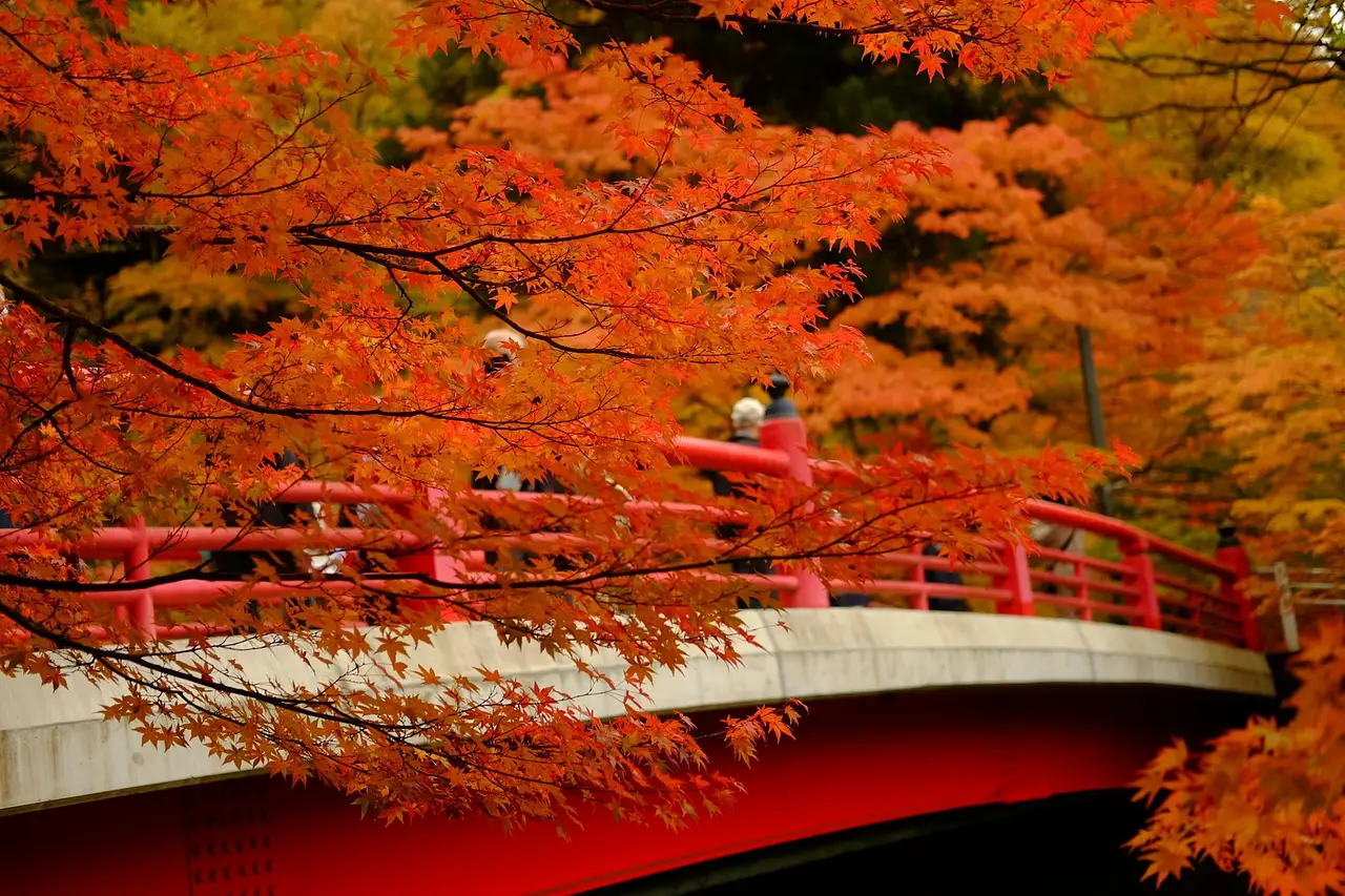 Hotel gallery_images photo