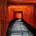 gallery_images