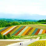gallery_images