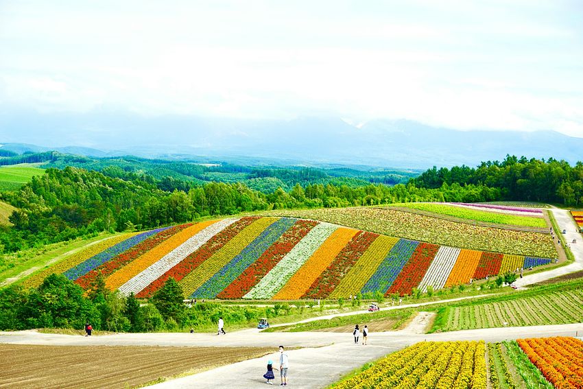 Hotel gallery_images photo