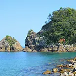 gallery_images