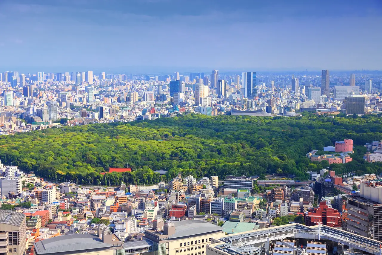 Yoyogi Park: A Green Getaway in the heart of Tokyo photo