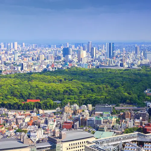 Yoyogi Park: A Green Getaway in the heart of Tokyo photo