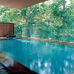 Public open-air bath photo