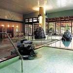 Public Spa photo