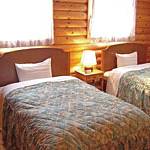 Western style room photo