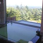 Main bath photo