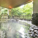 Public Spa photo