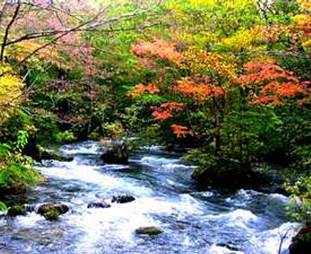 Hotel Mori No Kaze Oshuku photo