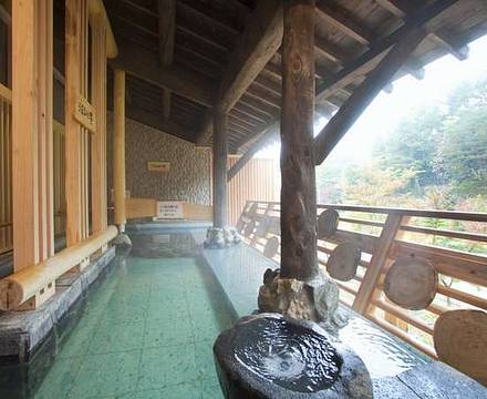 Shin Appi Onsen Seiyukaku photo