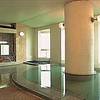 Yunohama Onsen Hotel Fukuzumi cover image
