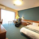Guestroom photo