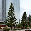 Westin Hotel Sendai cover image