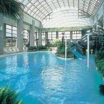 Swimming Pool photo
