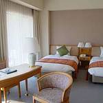 Guestroom photo
