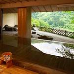 Main bath photo