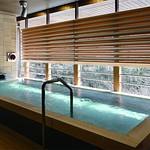 Public Spa photo