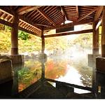 Public Spa photo
