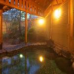 Public Spa photo