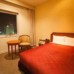 Guestroom photo