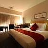 ANA Crowne Plaza Hotel Narita cover image