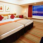 Western style room photo