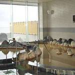 Main bath photo