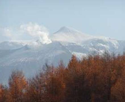 Hotel Park Hills photo