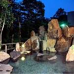 Public Spa photo
