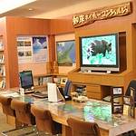 Hotel lobby photo