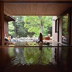Public Spa photo