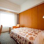 Guestroom photo