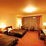 Guestroom photo