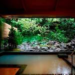 Public Spa photo