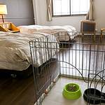 Guestroom photo