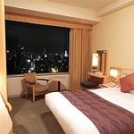 Guestroom photo