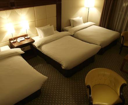 Premier Hotel TSUBAKI Sapporo photo