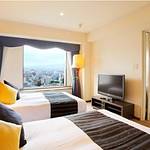 Western style room photo