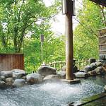 Public Spa photo
