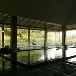 Main bath photo