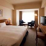 Western style room photo