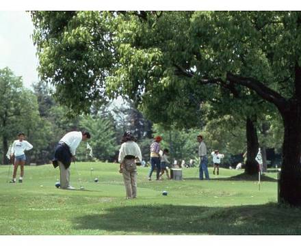 Yamaha Resort Tsumagoi photo